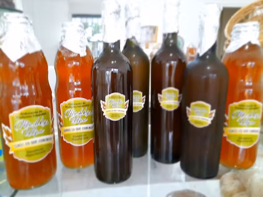 Alimentos saludables Mishky Ulpu