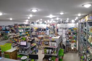 Alma Verde Saludable