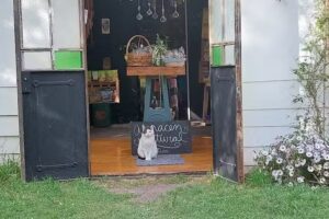 Almac&eacute;n Natural