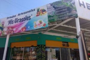 Almac&eacute;n Natural / Diet&eacute;tica Mis Girasoles