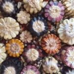 Almac&eacute;n Natural La Abuela