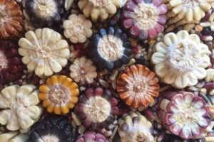 Almac&eacute;n Natural La Abuela