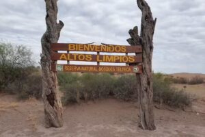 Altos Limpios-Reserva Natural Bosques Telteca