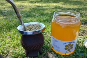 Apiario Sierra del Tigre