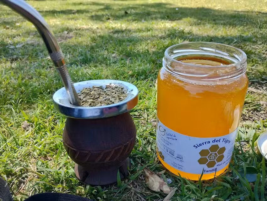 Apiario Sierra del Tigre