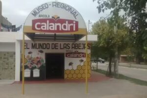 Apicola Calandri mundo de las abejas