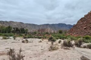 &Aacute;rea Natural La Ci&eacute;naga