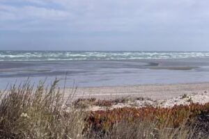 &Aacute;rea natural protegida Bah&iacute;a de San Antonio