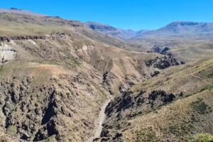 &Aacute;rea Natural Protegida Domuyo