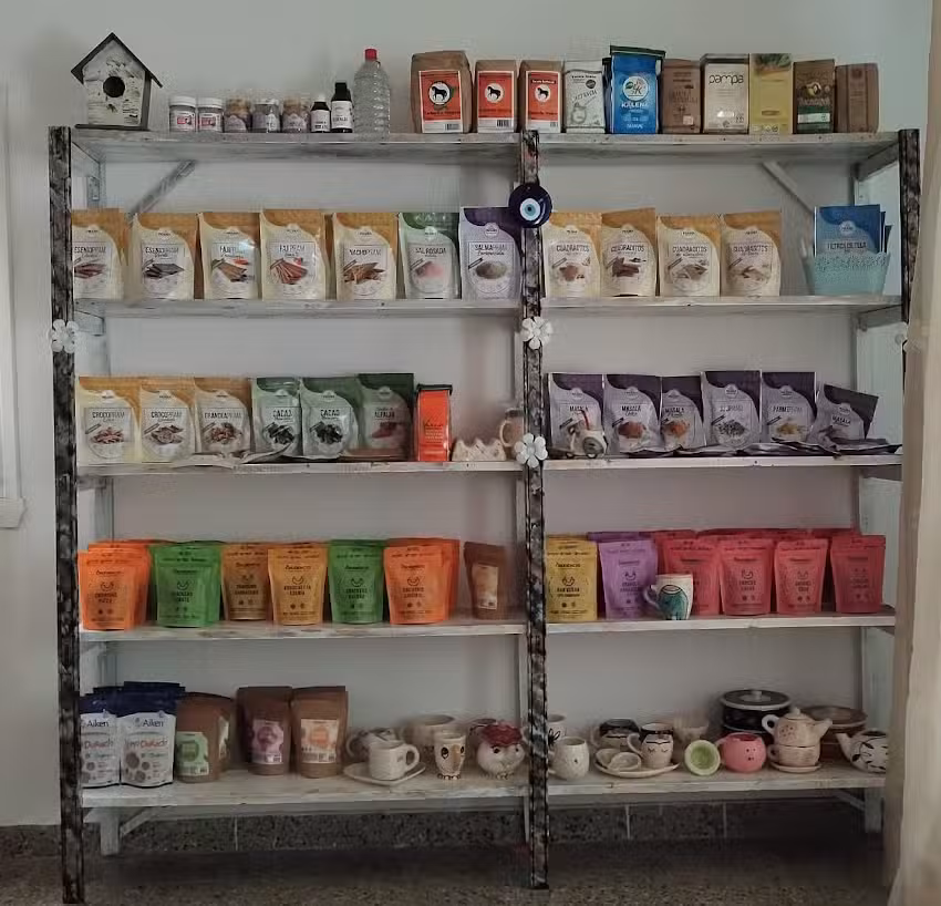 armonia sanacion integral