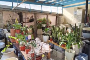 Arte Natural JARDINERIA