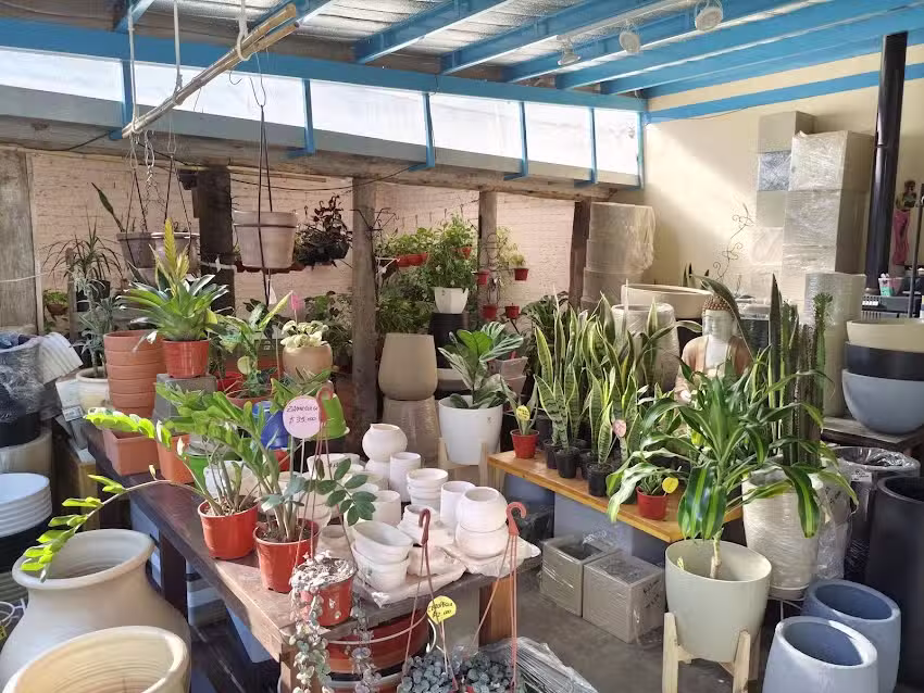 Arte Natural JARDINERIA