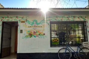 Artemisa Tienda Natural