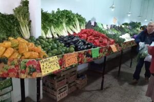 Autoservicio de frutas y verduras &ldquo;ALMA&rdquo;