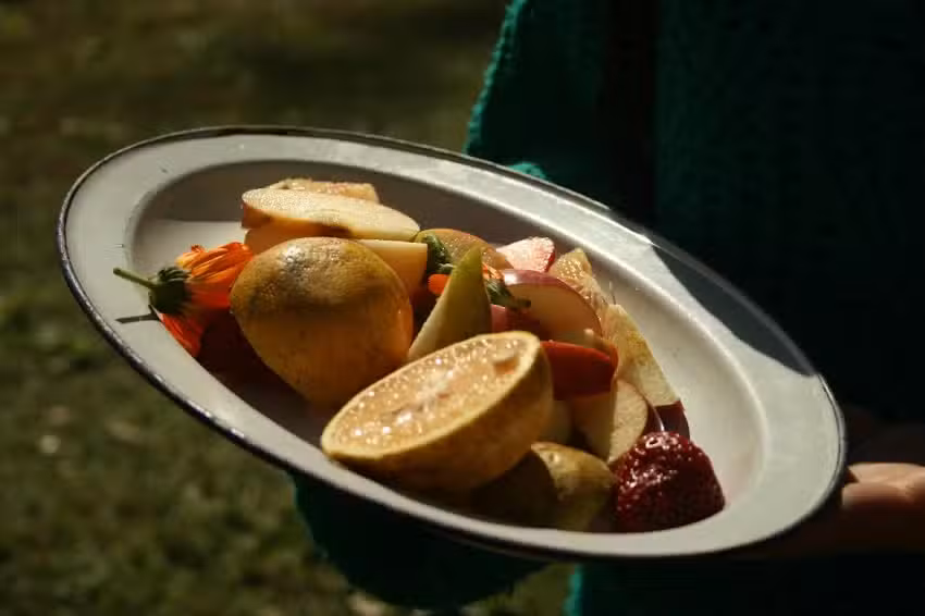 Bellota Almac&eacute;n