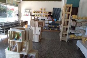 ᒐᥱt’⳽ ᙃɾᥱᥲຕ ᙃɩᥱtᥱtɩᥴᥲ