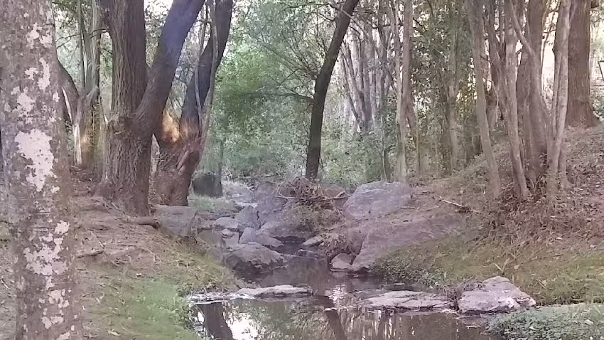 &iexcl; CARMELOT Natural ! &ndash; Un lugar para la conectar con la naturaleza