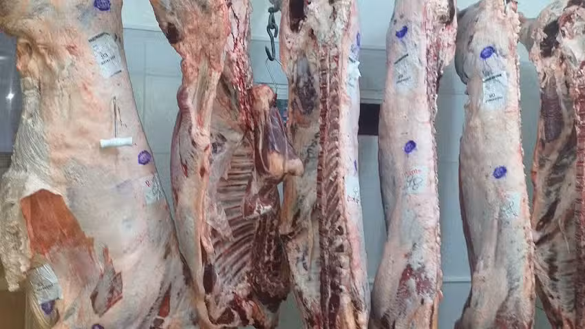 Carnicer&iacute;a El 34