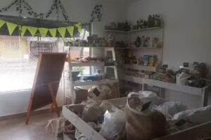 Carola tiendita saludable