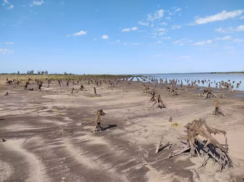 Cementerio de arboles &ndash; Chaviyu