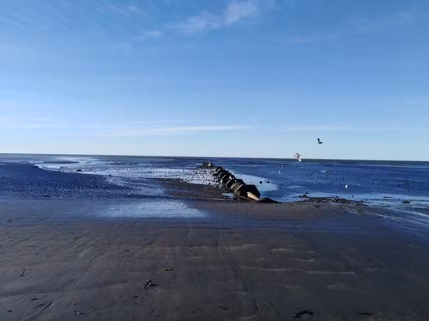 Centro De Interpretaci&oacute;n Ambiental R&iacute;o Grande