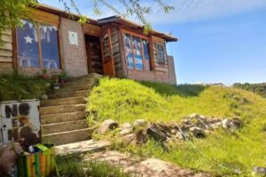 Clementina Almac&eacute;n Natural