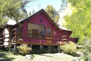 Cosmética Natural Reina Mora