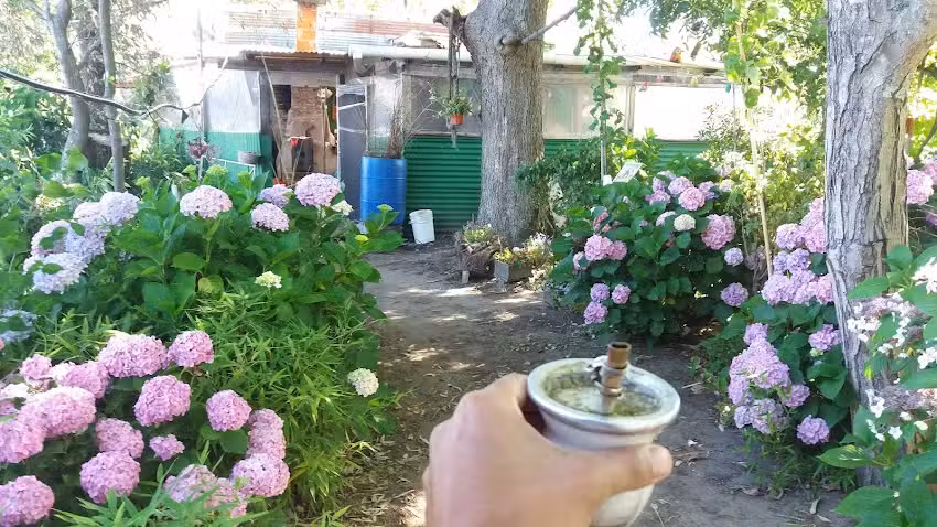 De la quinta De Miguel, Isla Paulino, Berisso.