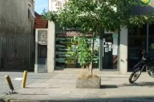 Diet&eacute;tica Prana