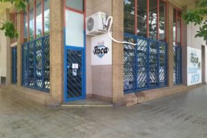 DIET&Eacute;TICA ROCA