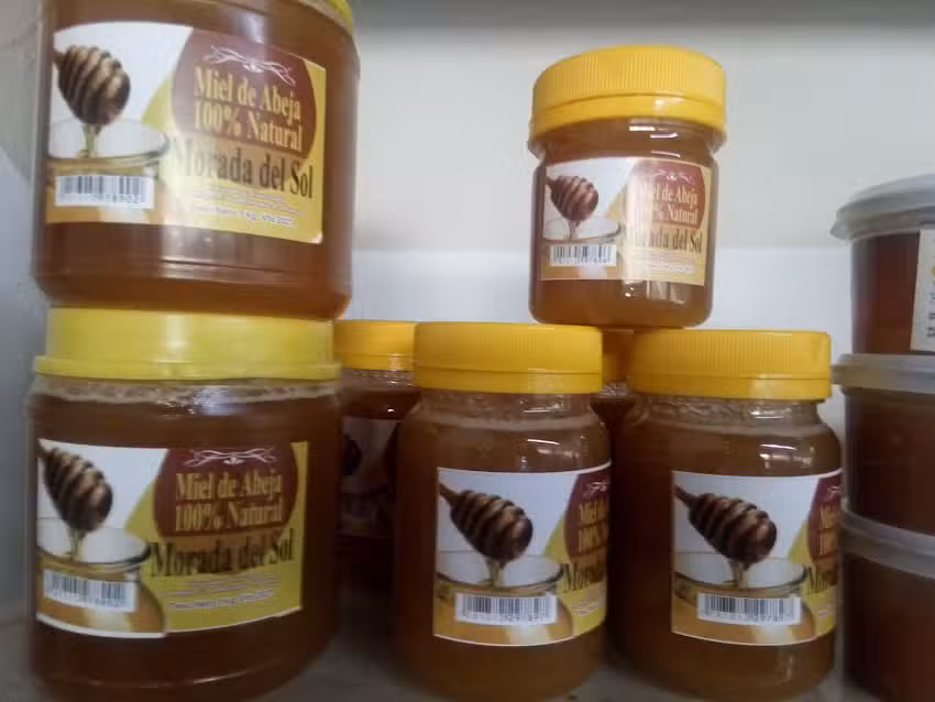 DIET&Egrave;TICA TODO SUELTO