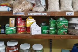 DIET&Eacute;TICA VIDA SANA