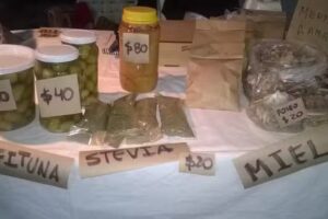 El Avío, Alimentación Saludable