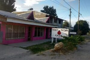 El Bicho Sano Tienda Natural