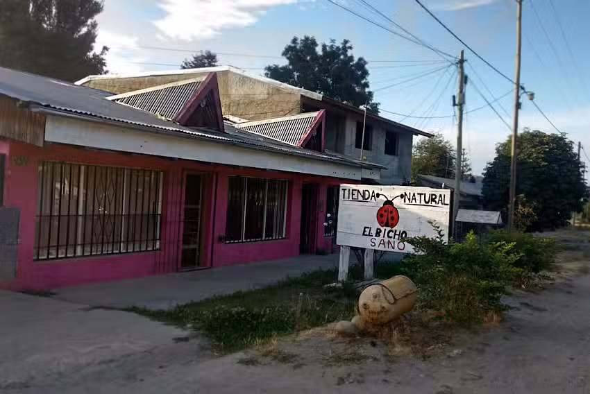 El Bicho Sano Tienda Natural