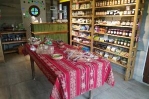 El Cactus &ndash; Almac&eacute;n Natural