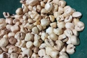 El Granero Dietetica