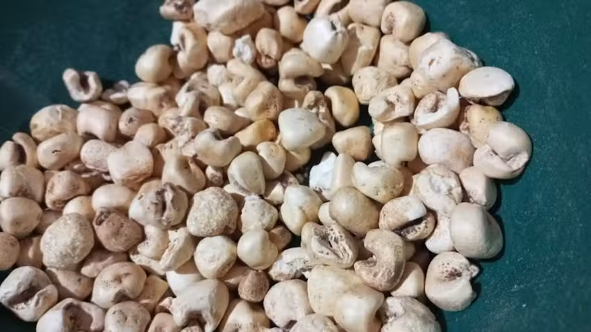 El Granero Dietetica