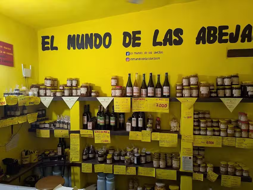 El Mundo De Las Abejas
