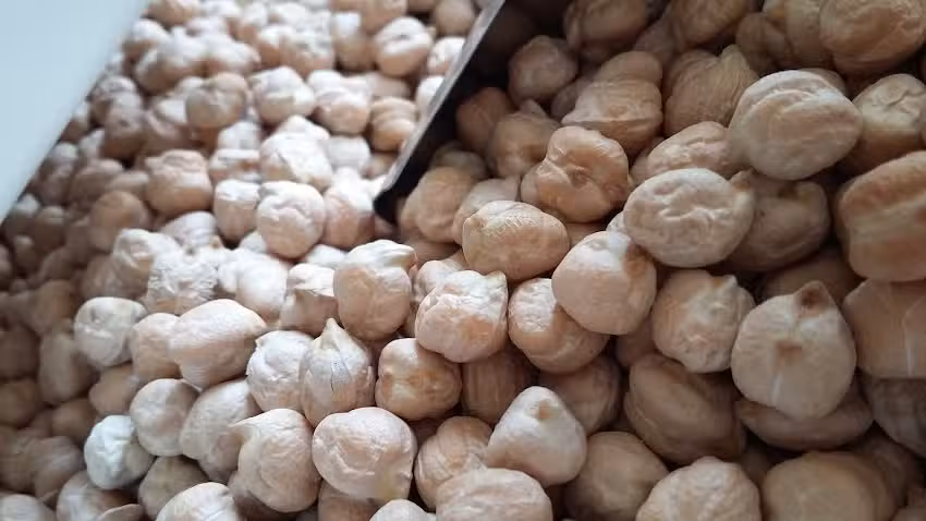 EL PAIHUEN Mercado Saludable