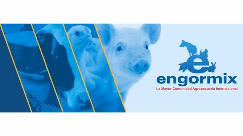 Engormix SC &ndash; Alimentos Balanceados &ndash; Fabricaci&oacute;n y Venta