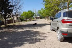 Envasadora Patag&oacute;nica