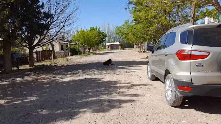 Envasadora Patag&oacute;nica