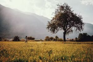 Escuela Argentina de Terapias Complementarias