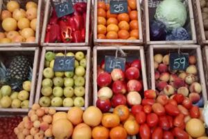 Estaci&oacute;n Natural