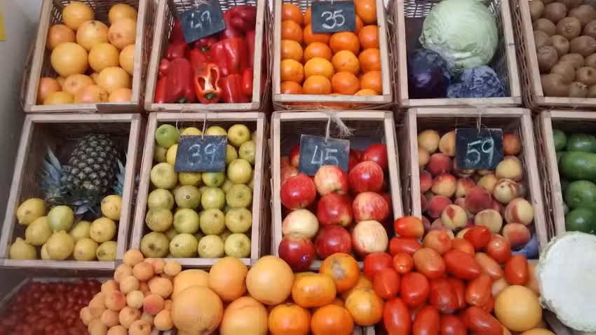 Estaci&oacute;n Natural