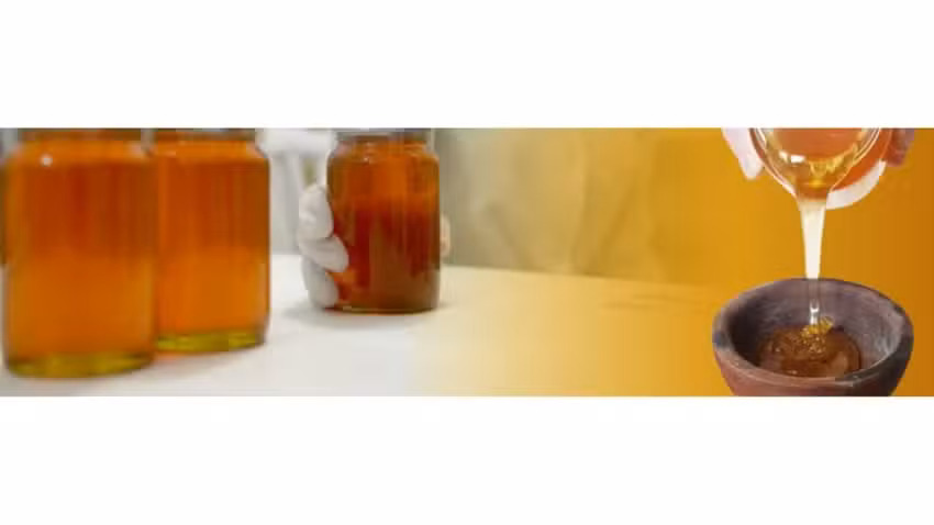 Exportaciones Miel Argentina