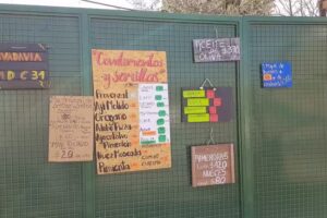 &ldquo;Feliz Vida&rdquo;