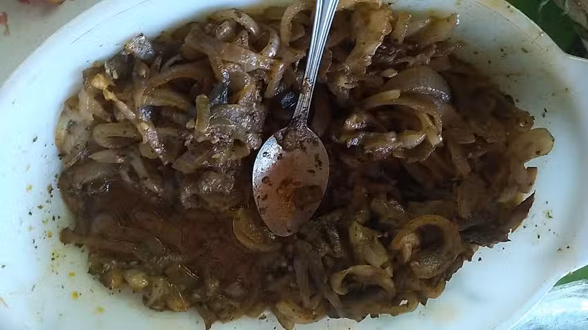 Fer Falco Purificador de Agua, Vida Natural, ATI, Google Maps