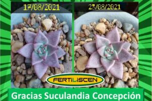 Fertiliscen &ndash; Biofertilizante Natural